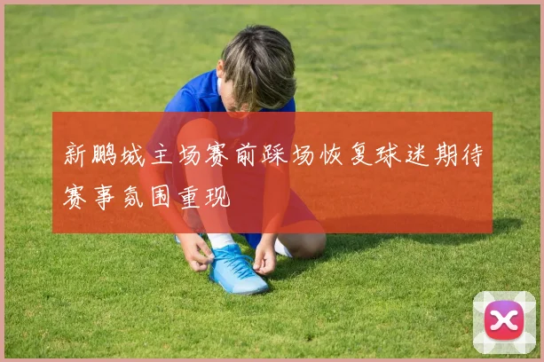 新鹏城主场赛前踩场恢复球迷期待赛事氛围重现